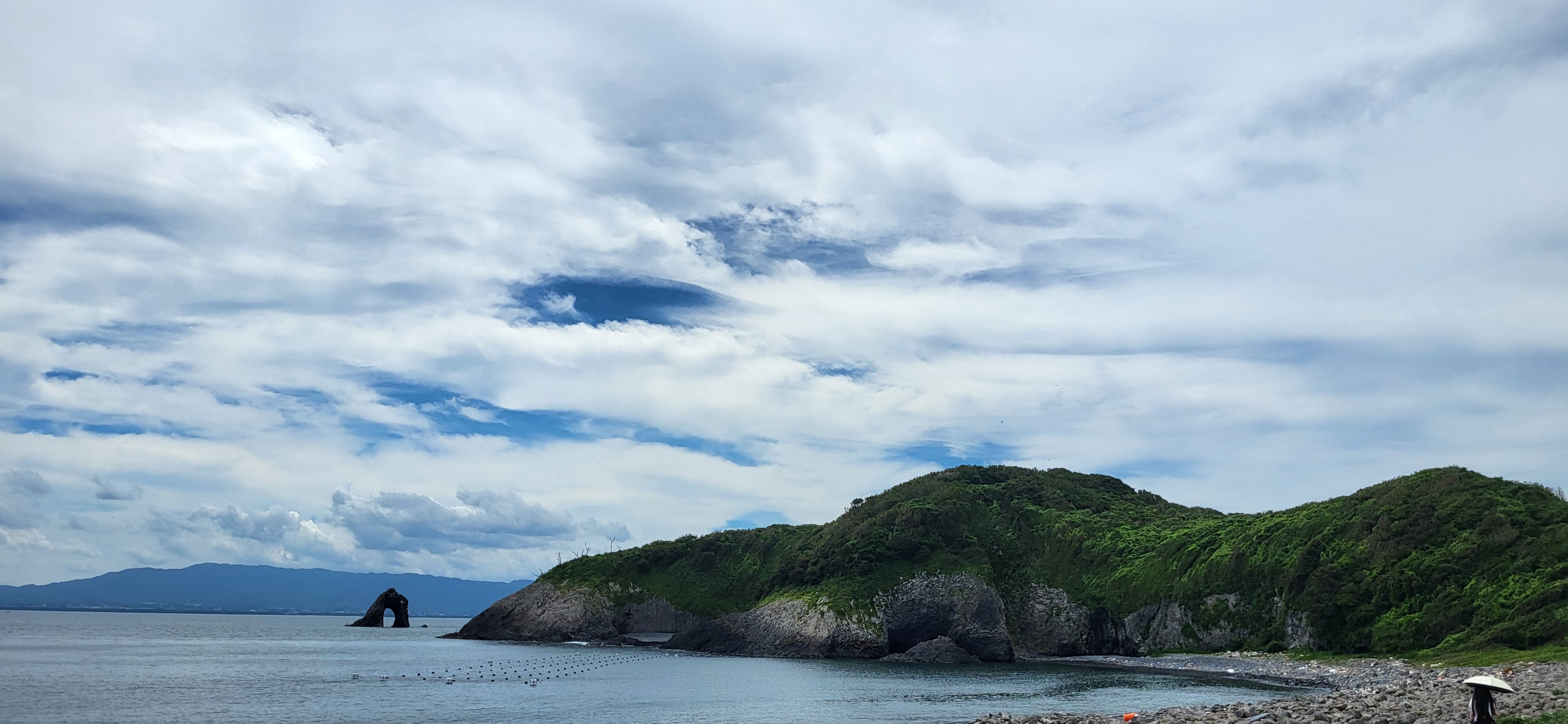 CatIsland