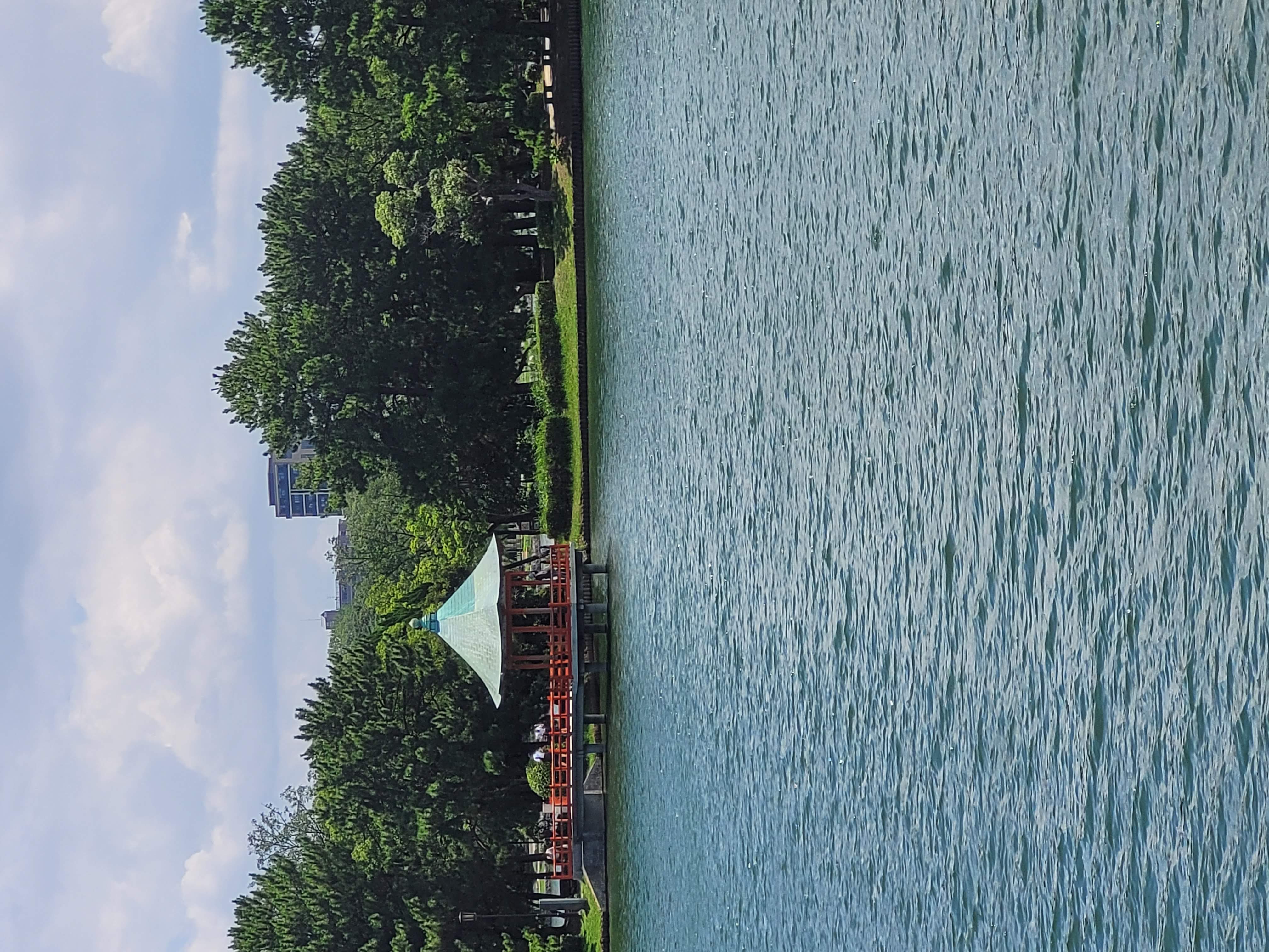 Pedalo